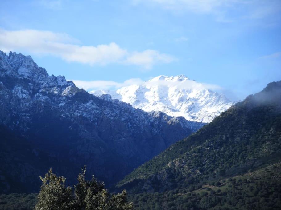 Le Capu Biancu-Location Avec Vue Proche Des Gorges De L Asco Entre Mer Et Montagne Moltifao Exterior foto